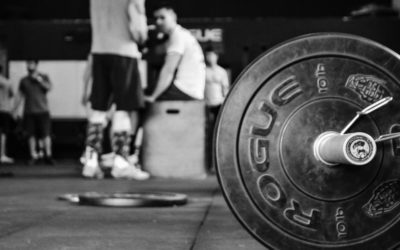 What I Learned from the COVID-19 Shutdown