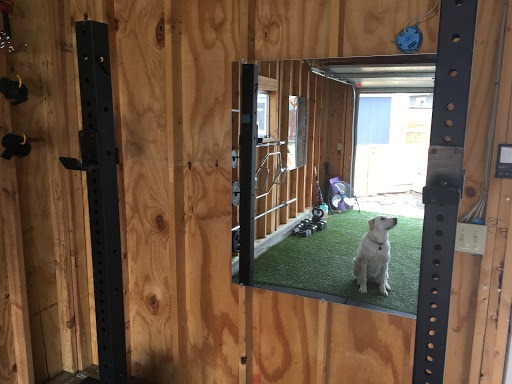 Garage gym mirror