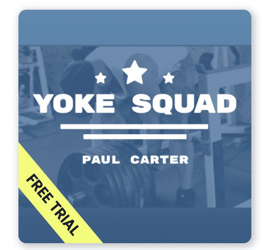 Bodybuilding training plan - Yoke Squad