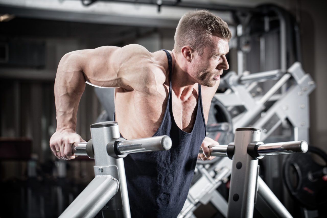 DIP Your Way to a Stronger Bench Press TrainHeroic