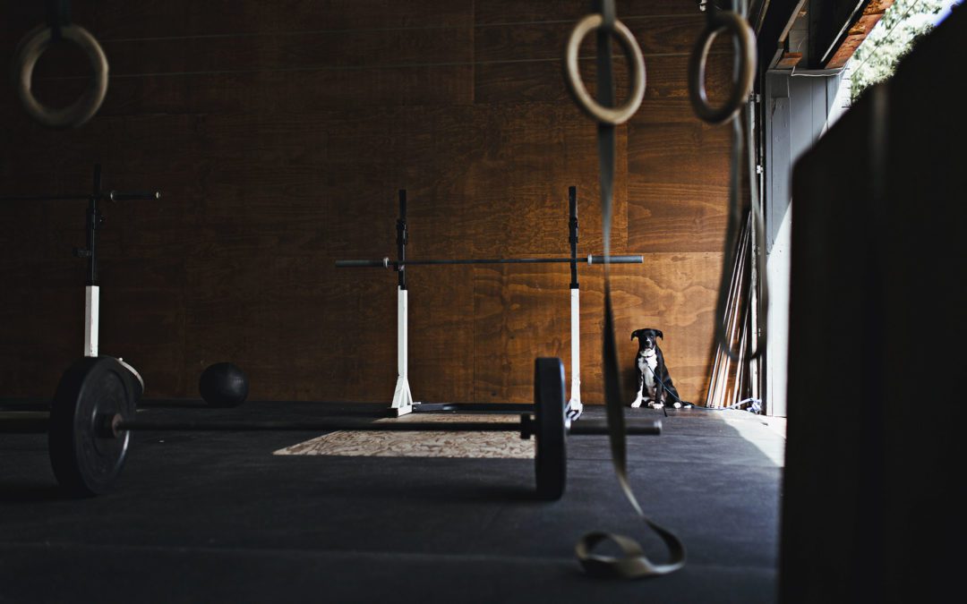 Home Gym Build 101: How to Start Your Iron Oasis