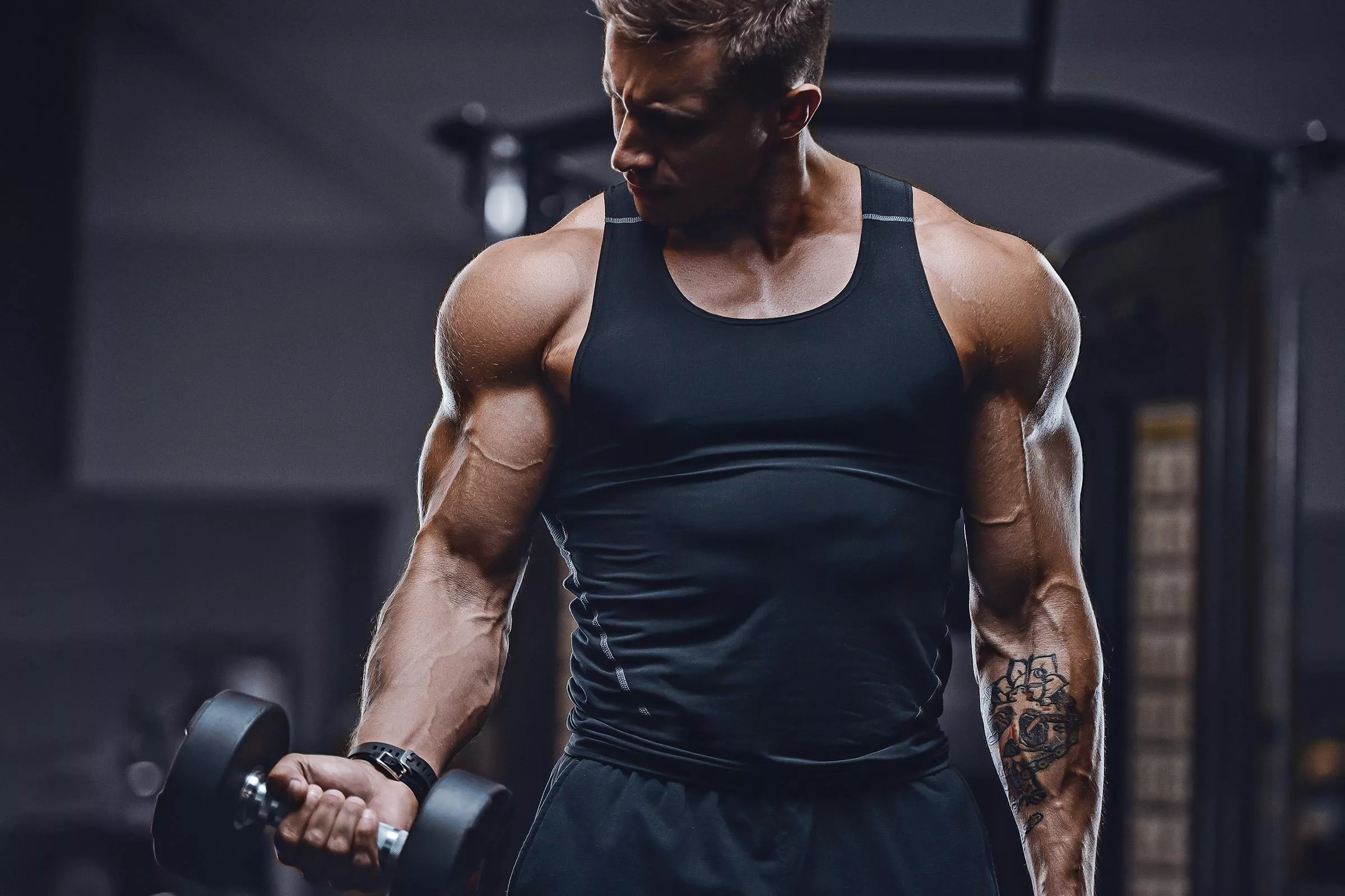 Muscle Gain Workouts for Skinny Arms and Legs - Dynamism Labs