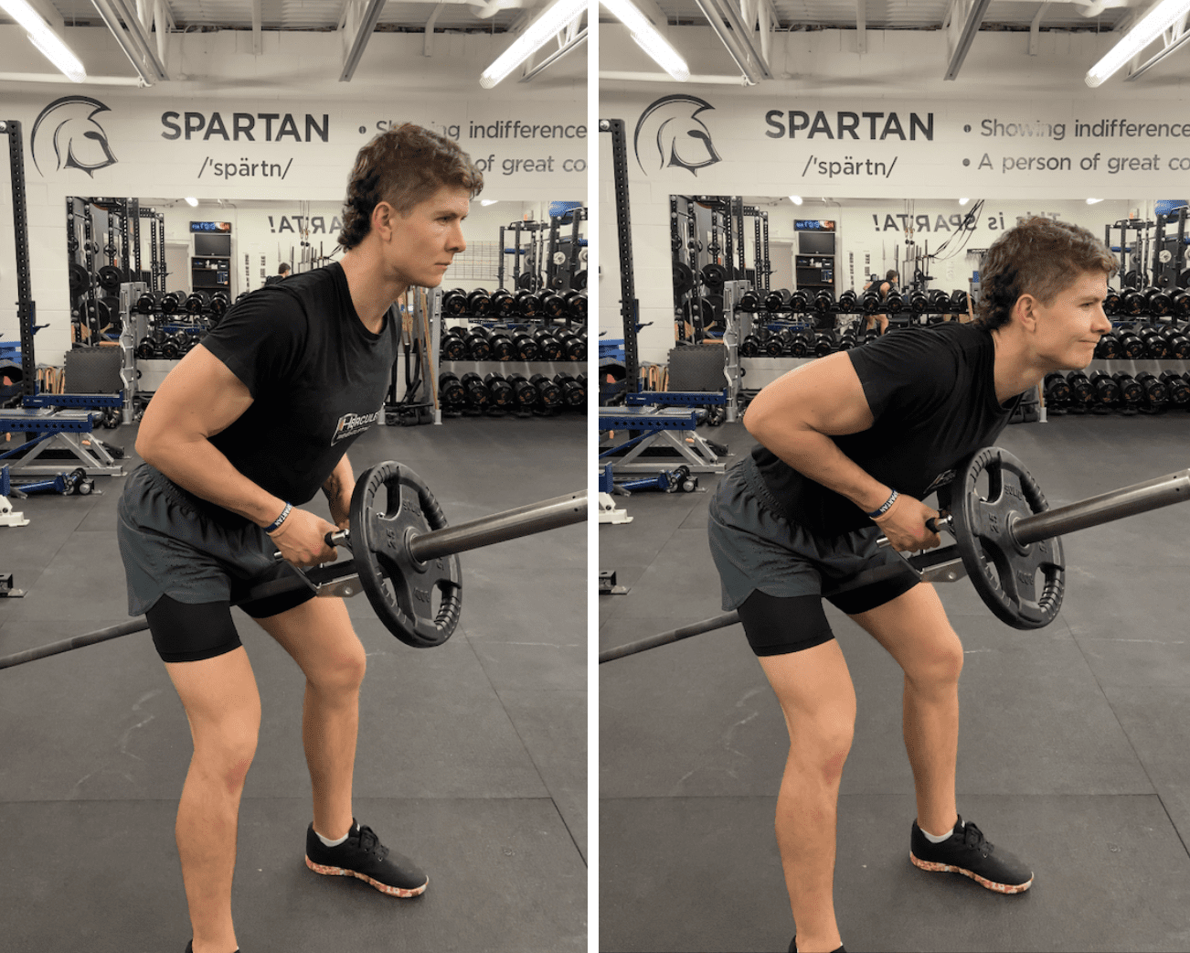 T-Bar Row vs. Barbell Row — Which Back Builder Is Best for You