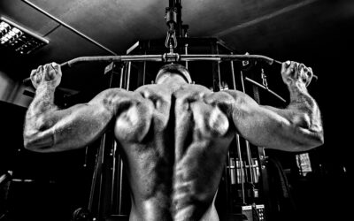How to Build a Monster Back